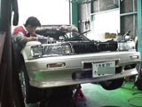 rb14s.jpg (11730 oCg)